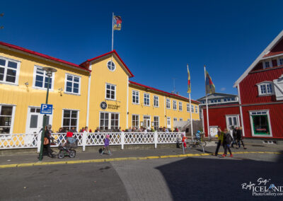 Reykjavik Capital of Iceland │ Iceland Photo Gallery