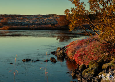 Heiðmörk │ Iceland Photo Gallery