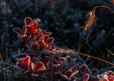 Heiðmörk │ Iceland Photo Gallery