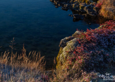 Heiðmörk │ Iceland Photo Gallery