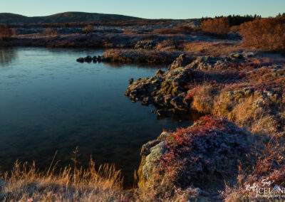 Heiðmörk │ Iceland Photo Gallery