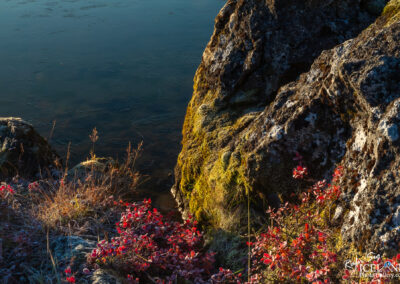 Heiðmörk │ Iceland Photo Gallery