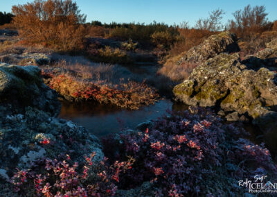 Heiðmörk │ Iceland Photo Gallery