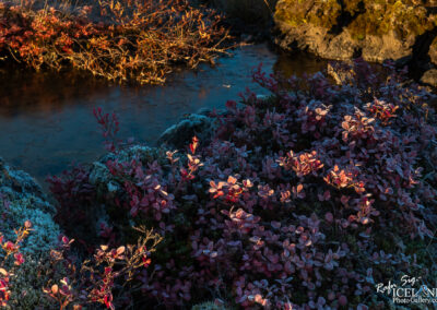 Heiðmörk │ Iceland Photo Gallery