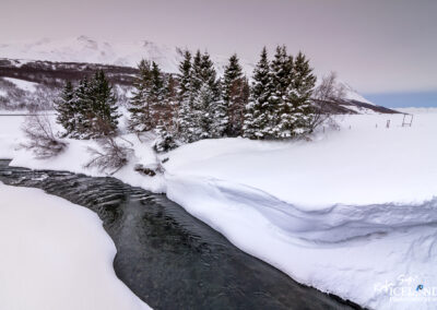 A picturesque river flows through a snowy scene, with trees adorned in white, creating a peaceful winter landscape.