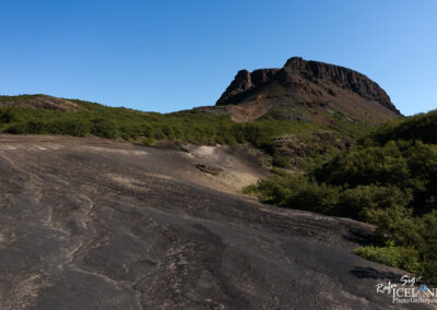 A distant mountain in Iceland, showcasing its rugged peaks against a clear sky in a Black Volcanic sand with few trees in the foreground