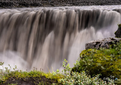 A stunning Icelandic waterfall cascades in the foreground, surrounded by lush green plants and vibrant natural scenery.