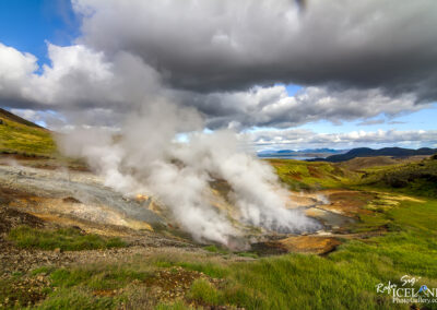 A geyser erupts in a verdant field, with water spraying upwards, showcasing the beauty of nature in action.