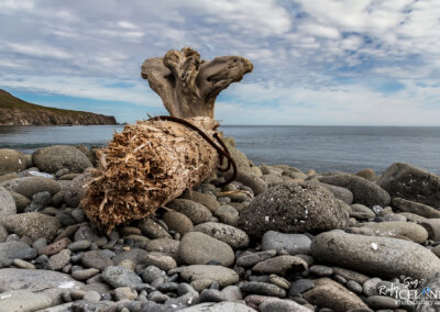 A prominent large Driftwood in Iceland's beach landscape, illustrating the dramatic and diverse terrain of this Nordic island.