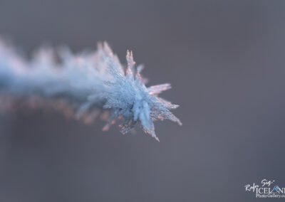 Close-up of frosty blue ice crystals glistening on a plant, showcasing the beauty of winter's touch.