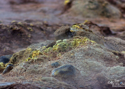 Close-up image of geothermal geyser in Iceland, displaying vivid yellow and green hues that enhance its natural charm.