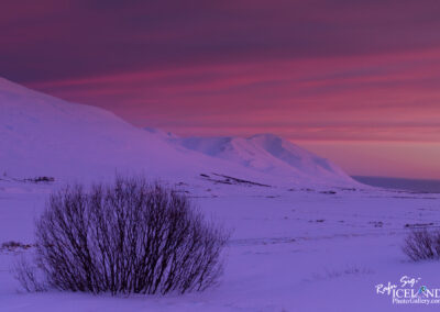 An Icelandic winter landscape blanketed in snow, illuminated by a stunning red sky, showcasing nature's vivid colors.