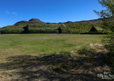 A vibrant grassy Viking Turf farm bathed in sunlight, showcasing the beauty of nature and open spaces.