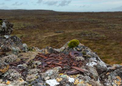 A rocky outcrop covered in various mosses and lichens, with scattered pieces of wooden debris and a rusted metal washer. The background features an expansive, barren landscape with patches of green and brown, under a cloudy sky.