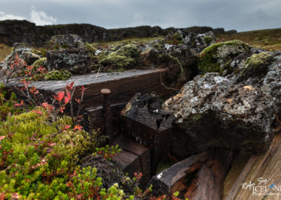 A close-up view of weathered wooden beams, some partially buried and surrounded by rocky terrain. Bright green and reddish plants grow among the wood and stones, indicating a lush, natural environment. The sky overhead is overcast, adding a dramatic atmosphere to the scene.