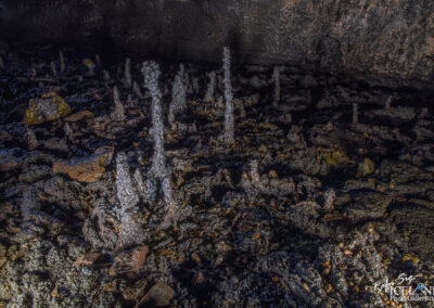 A dark Lava cave interior with numerous small, stalagmite-like formations made of a shiny, mineral-like substance scattered across the rocky ground. The surface is textured and irregular, with patches of light illuminating the formations, contrasting against the shadows of the surrounding cave walls.