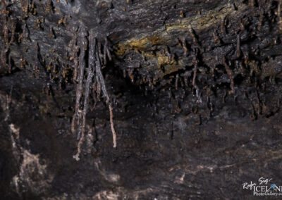 A close-up of a Lava cave ceiling displaying numerous small, stalactite-like formations. These formations vary in size and shape, with some appearing shiny or wet, suggesting the presence of mineral buildup or moisture. The background features dark rock surfaces, adding to the natural cave environment.