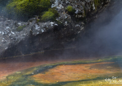 A close-up view of a geothermal area featuring a colorful, mineral-rich water pool bordered by a rocky edge. The surface of the water displays vibrant hues of orange, yellow, and green, while steam rises gently from the pool. Lush moss and lichen cover parts of the surrounding rocky terrain, creating a natural contrast with the vivid colors of the water.