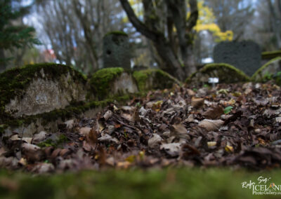 A close-up view of an old graveyard scene featuring weathered gravestones partially covered in green moss. The ground is scattered with dry brown leaves, creating a rustic and serene atmosphere. In the background, blurred trees and other gravestones are visible, suggesting an aged and tranquil cemetery setting.