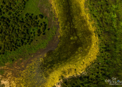 An aerial view of a lush green landscape featuring a winding riverbank. The riverbank is accented by patches of yellow and brown, contrasting with the vibrant green foliage. The scene exhibits various textures with clusters of vegetation and darker areas along the water's edge, creating a natural, serene environment.