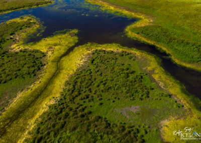 An aerial view of a serene wetland area featuring lush green vegetation and a winding waterway. The landscape includes patches of yellow moss or algae along the edges of the water, with various shades of green from the grasses and shrubs scattered throughout. The water reflects the surrounding greenery, creating a harmonious natural scene.