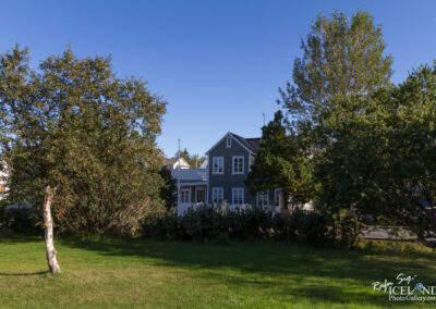 A green house with white trim is partially visible behind trees and bushes in a lush green yard. The sky is bright blue with a few clouds, and there are a few other structures in the background, indicating a serene suburban setting.