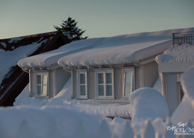 A close-up view of a snow-covered roof, featuring multiple windows with icicles hanging from the edges. The roofs are blanketed in thick snow, with the sunlight casting a soft glow on the snow's surface. In the background, a hint of a tree is visible against a clear sky.
