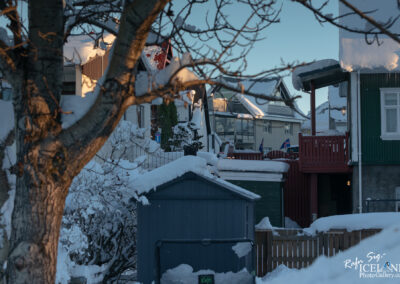 A snowy scene featuring several buildings and a fence. In the foreground, a blue shed is partially covered in snow, with a visible exit sign. Behind it, houses with different colors, including green and red, are partially obscured by tree branches. The roofs of the buildings are blanketed in snow, and there are a few icicles hanging from the eaves. The background shows more buildings and a clear blue sky. The setting appears to be a residential area in winter.