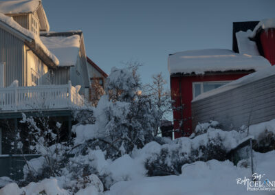 A serene winter scene depicting two houses partially covered in snow, with one house featuring a wooden balcony. The structures are surrounded by snow-laden trees and shrubs, creating a tranquil atmosphere. The sky is clear, reflecting the soft hues of the winter light.