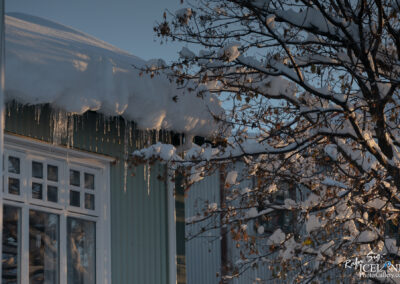 A snowy scene featuring a house with a steep roof covered in a thick layer of snow, from which icicles hang down. In the foreground, a tree with bare branches holds onto patches of snow and some dried leaves, while the sun casts a soft light on the snow-covered landscape. The house has large windows, and the siding is painted in a light green color. The sky above is clear and bright.