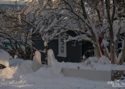 A snow-covered scene featuring a residential building with a blue exterior and a window partially visible. In the foreground, there are snowdrifts and two decorative white pillars. Surrounding trees are thick with snow, glistening in sunlight, creating a serene winter atmosphere. The background hints at additional structures obscured by the snowfall.