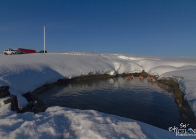 A group of people is enjoying a soak in a natural hot spring surrounded by snow-covered terrain. The steaming water of the spring contrasts with the snow, and a clear blue sky overhead enhances the serene atmosphere. Nearby, two vehicles are parked, one of which has a distinct red roof. Snow drapes over the edges of the spring, creating a picturesque winter scene.