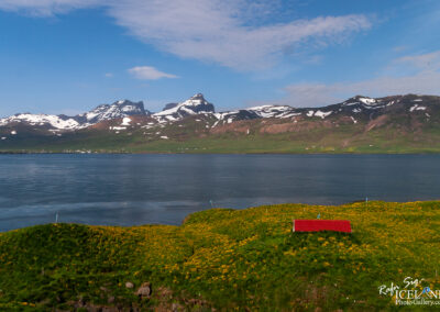 A serene landscape featuring a calm body of water in the foreground, reflecting the sky. In the background, majestic snow-capped mountains rise, contrasting with the lush green hills and fields of vibrant yellow flowers in the foreground. A small red-roofed building is situated on one of the hills, adding a touch of color to the natural scenery. The sky is partly cloudy, creating a picturesque and tranquil atmosphere.
