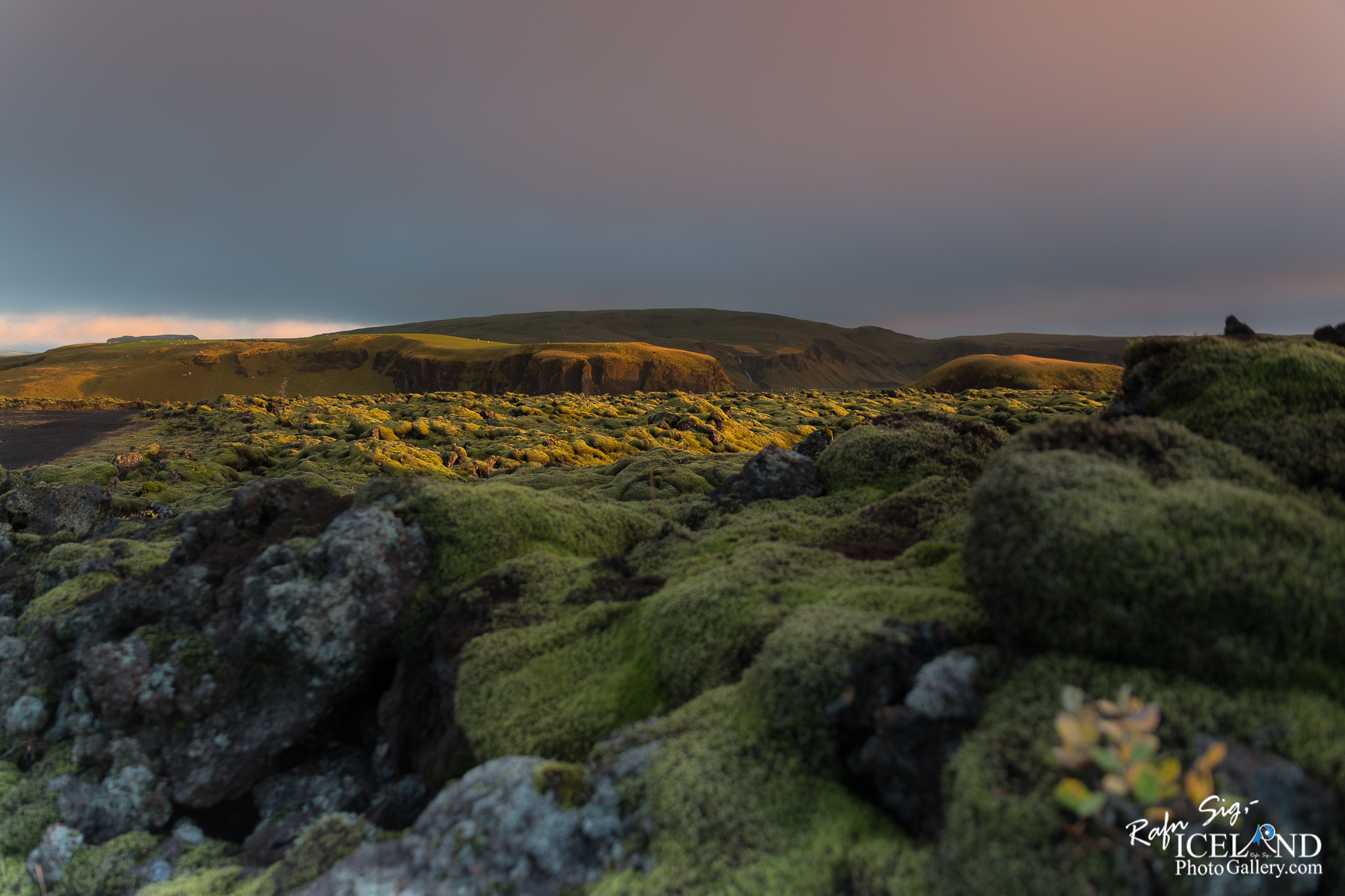 A breathtaking landscape featuring a vast stretch of moss-covered lava fields. The foreground is rich with soft, green moss and rugged stones, creating a textured appearance. In the background, rolling hills rise gently, partially shrouded by a layer of fog. The sky above is a mixture of gray and subtle warm hues, indicating either sunrise or sunset, casting a soft glow over the scene. The overall atmosphere evokes a sense of tranquility and untouched natural beauty.