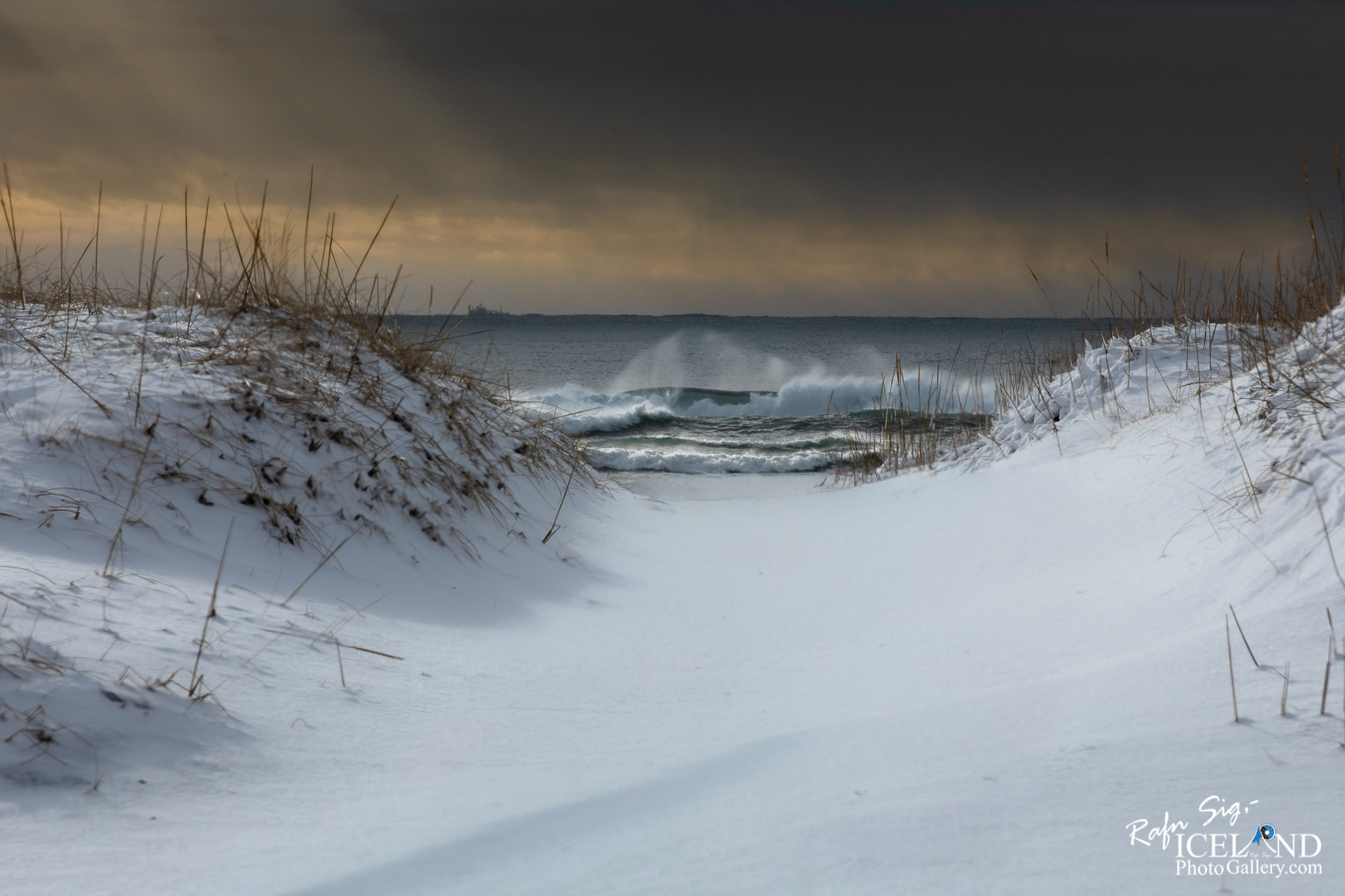 A snowy landscape leads to the ocean, framed by patches of tall grass on either side. The beach is covered in thick, white snow, creating a smooth and serene pathway toward the water. Gentle waves can be seen rolling in, their surfaces glistening subtly under a mix of gray and soft orange clouds above. The atmosphere feels calm yet dynamic, as the waves break softly, contrasting with the stillness of the snow-covered ground.